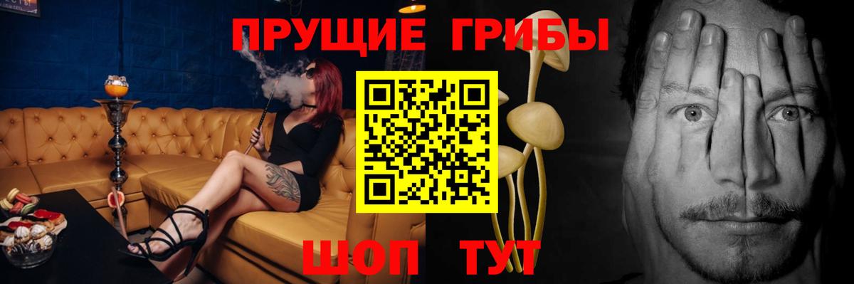 Псилоцибиновые грибы прущие грибы  цены   Мценск  Вход с VPN 